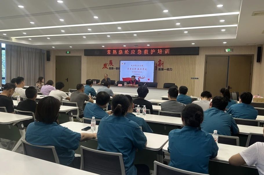 ChangShu Polyester na-ebu ọzụzụ maka Junior Paramics
